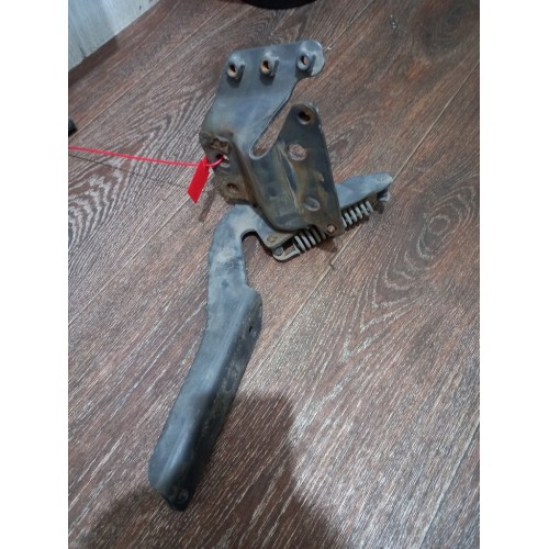 Петля подножки обслуживания SCANIA R440 XPI 294147 RH (312), -1