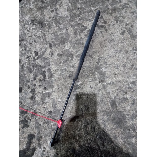 Газовый упор капота Renault Premium 034932 (854), 5010578586