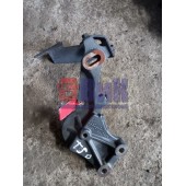 Кронштейн ролика натяжителя Renault TS (336)