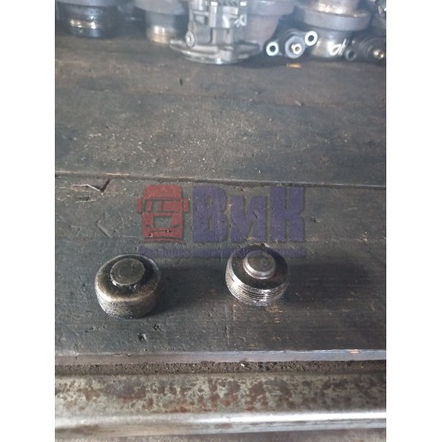 Заглушка ГБЦ Renault MACK-430 (920)*, -2