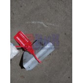 Крышка форсунки омывателя Iveco LH (988)