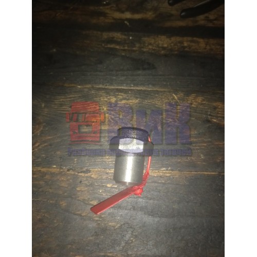 Специальная гайка шестерни ГРМ Renault Premium DCI-420 (341), 