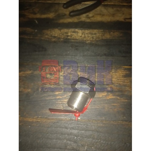 Специальная гайка шестерни ГРМ Renault Premium DCI-420 (365), 