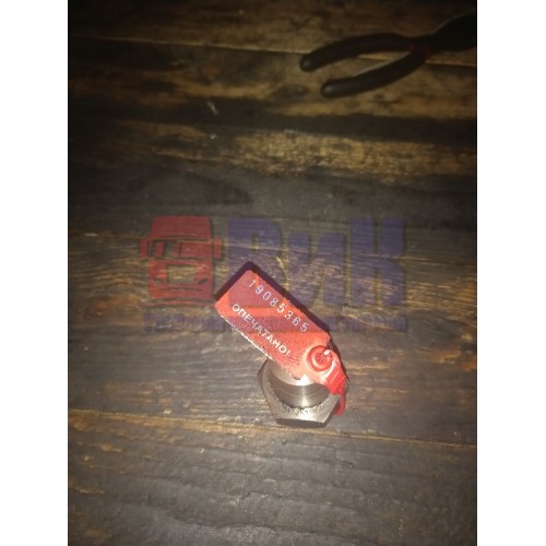 Специальная гайка шестерни ГРМ Renault Premium DCI-420 (365), -1