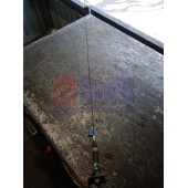 Антенна (449)