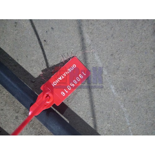 Накладка на дверь Renault Premium RH (016), 205580140-2