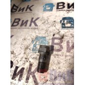 Клапан топливный (обратный) в ГБЦ Renault/Volvo (040)*