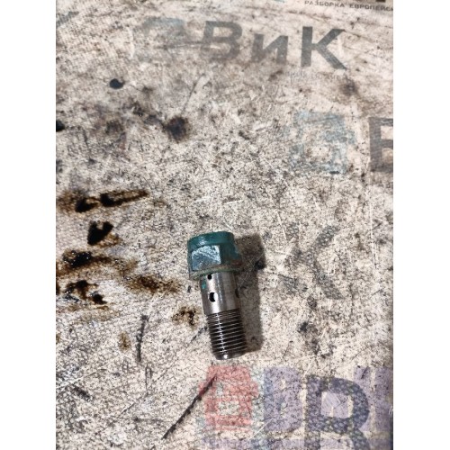 Клапан топливный (обратный) в ГБЦ Renault/Volvo (040)*, -13