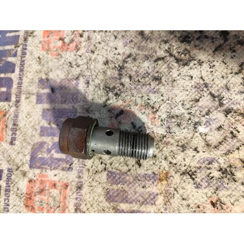 Клапан топливный (обратный) в ГБЦ Renault/Volvo (040)*, -3