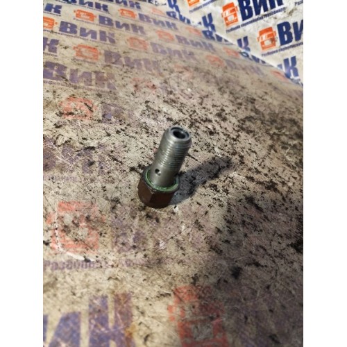 Клапан топливный (обратный) в ГБЦ Renault/Volvo (040)*, -2