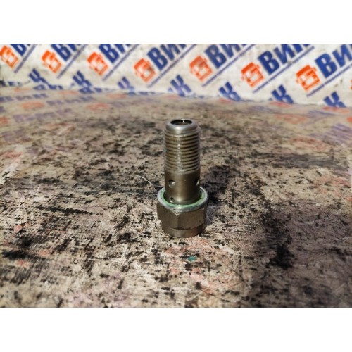 Клапан топливный (обратный) в ГБЦ Renault/Volvo (040)*, -14