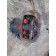 Суппорт задний MAN KNORR TGA 165052 RH (834), 