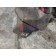 Суппорт задний MAN KNORR TGA 165052 RH (834), 