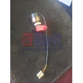 Кнопка горного тормоза DAF 105-95 (239)