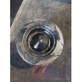 Поршень MAN D2066 962068 (656)