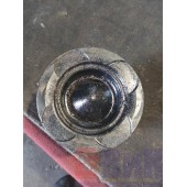 Поршень MAN D2066 962068 (655)