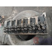 Головка блока цилиндров (ГБЦ) Volvo D11/DXI-11 (461)