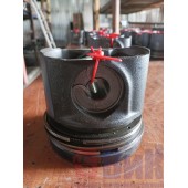 Поршень DAF 105 (283)