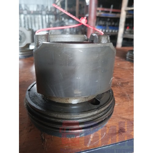 Поршень Renault DXI 13 (048), 216000005A  -6