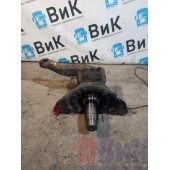 Цапфа (кулак поворотный) Iveco Stralis 387632 (блок подшип.) LH (403)