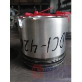 Поршень Renault DCI 420 (437)