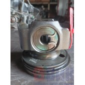 Поршень Renault Pr DXI 11 (042)