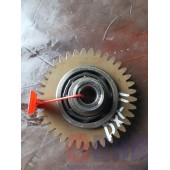 Шестерня ГРМ промежуточная Renault DXI 11 малая (016)