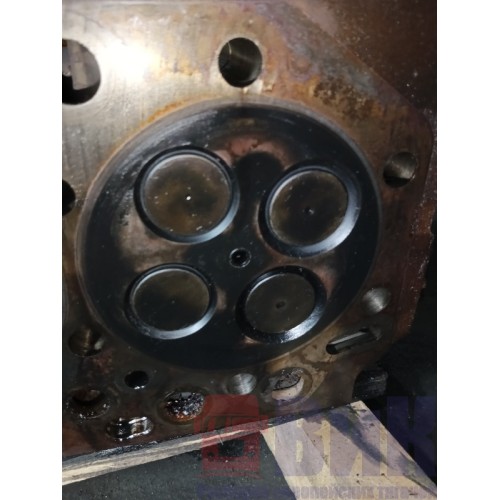 Головка блока цилиндров (ГБЦ) Renault DXI-11 (079), 20464480-6