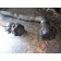 Горловина маслозаливная Renault (895), 5010621093