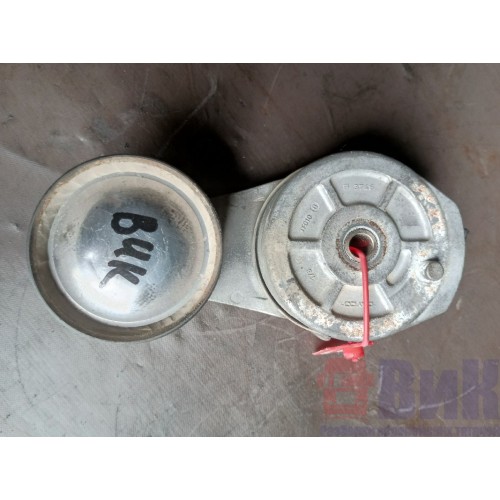 Ролик натяжной Renault DXI 11 (202), 2581809