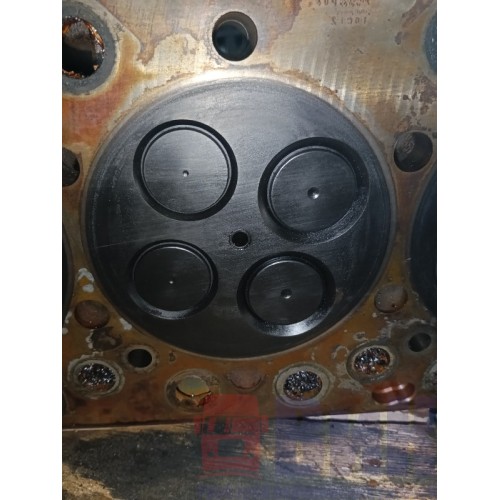 Головка блока цилиндров (ГБЦ) Renault DXI 11 (318), 20464480-8