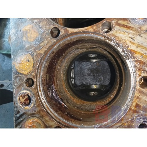 Блок цилиндров двигателя Renault DXI 11 (319), 1002099-15