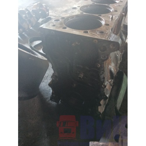 Блок цилиндров двигателя Renault DXI 11 (319), 1002099-17