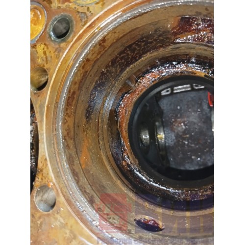 Блок цилиндров двигателя Renault DXI 11 (319), 1002099-20