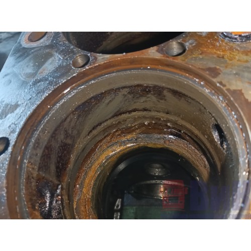 Блок цилиндров двигателя Renault DXI 11 (319), 1002099-22