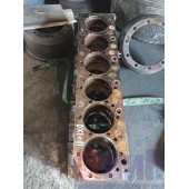 Блок цилиндров двигателя Renault DXI 11 (319)