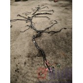 Проводка рамная Volvo FH 4 704890 (363)