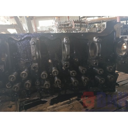 Головка блока цилиндров (ГБЦ) Renault Premium DXI-11 (404), 20464480-4