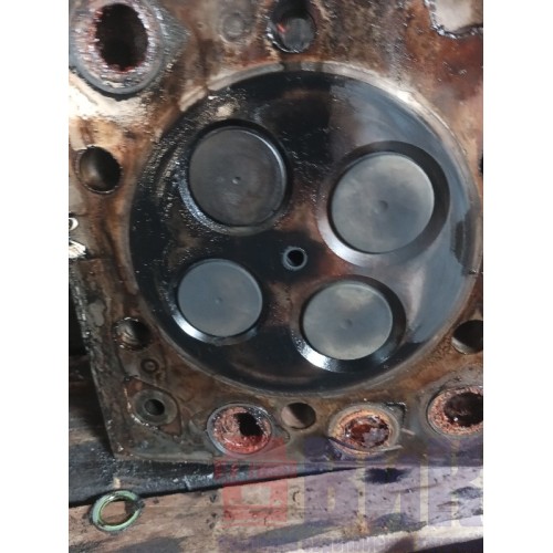 Головка блока цилиндров (ГБЦ) Renault Premium DXI-11 (404), 20464480-13