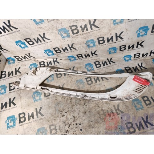 Рамка ПТФ (накладка ПТФ) DAF 106 066636 RH (696), 1798472-2