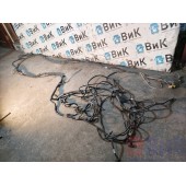 Проводка рамная DAF 106 066636 основная с деф. (764) 