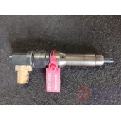 Форсунка топливная электрическая DAF 105 (896)