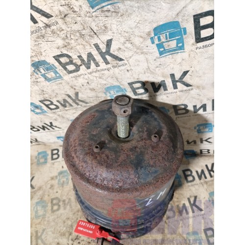 Энергоаккумулятор DAF 105 003323 задний LH (309), -1