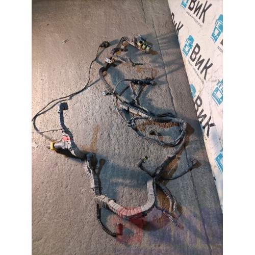 Проводка двигателя DAF 106 066636 (773), -2