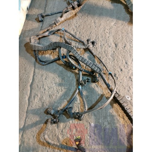 Проводка двигателя DAF 106 066636 (773), -5