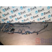 Проводка двигателя DAF 106 066636 (772)
