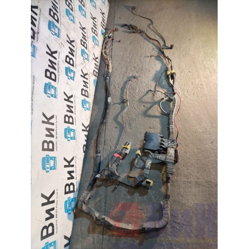 Проводка двигателя DAF 106 066636 (772), -2