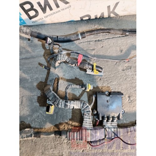 Проводка двигателя DAF 106 066636 (772), -4