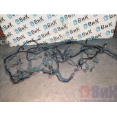 Проводка рамная Renault T 017895 (531)