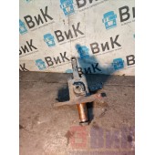 Цапфа (кулак поворотный) DAF 105 991137 LH (898)